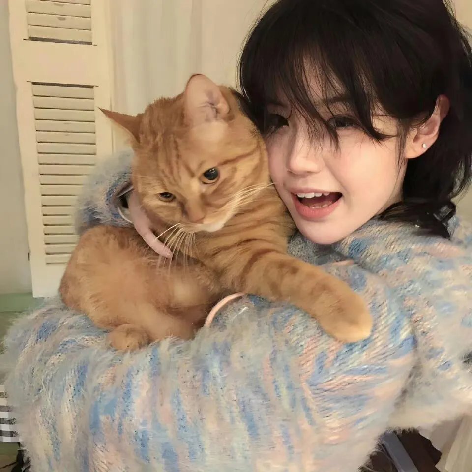 十八般武艺国语